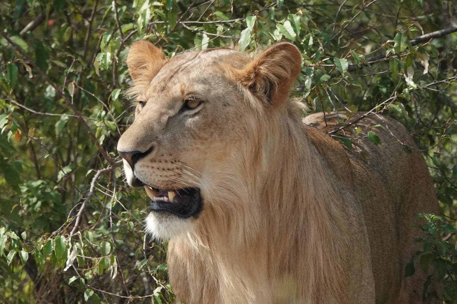 Health & Safety in Tanzania
