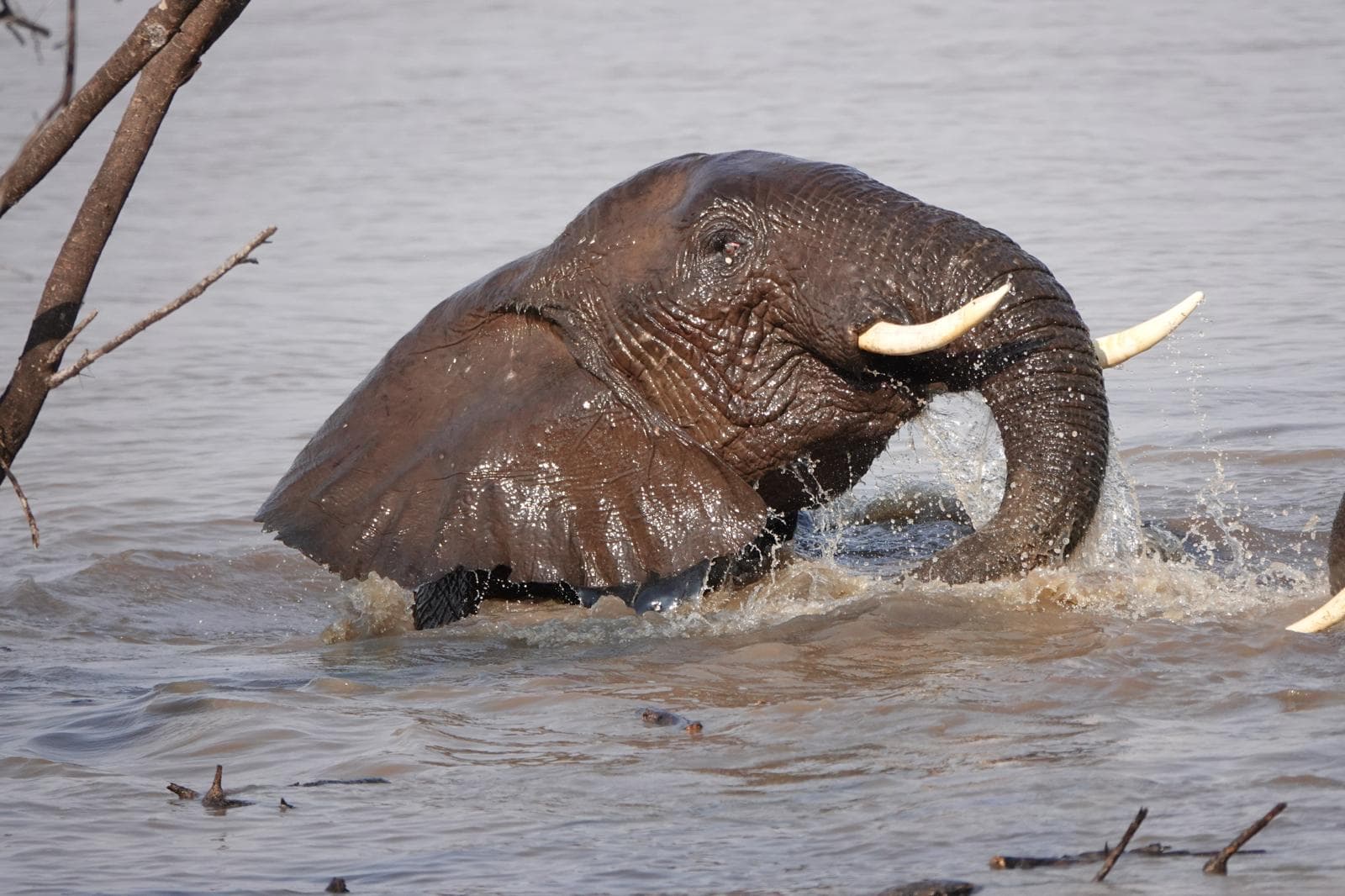 What to Pack for Tanzania Safari