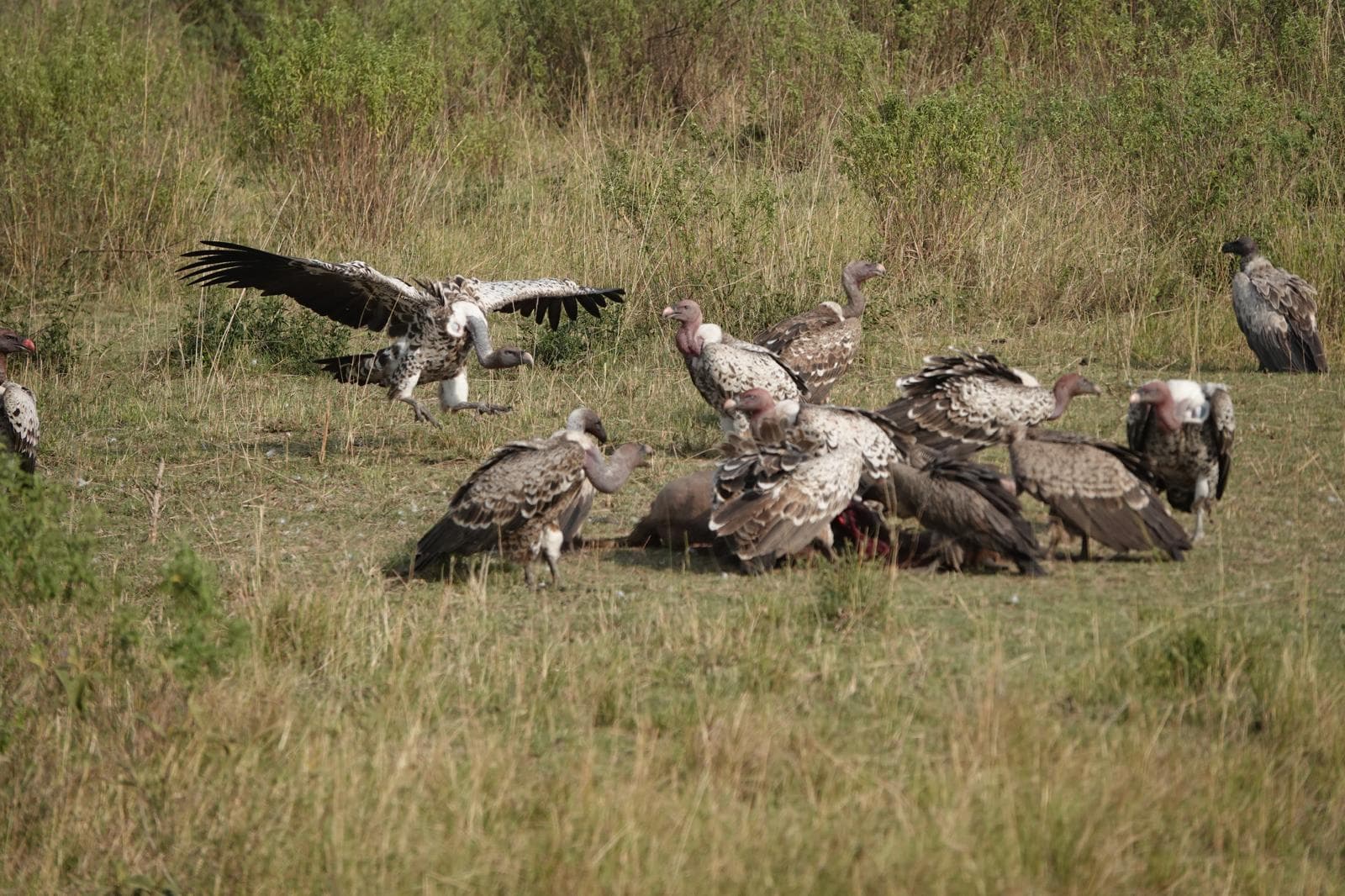Best Time to Visit Tanzania