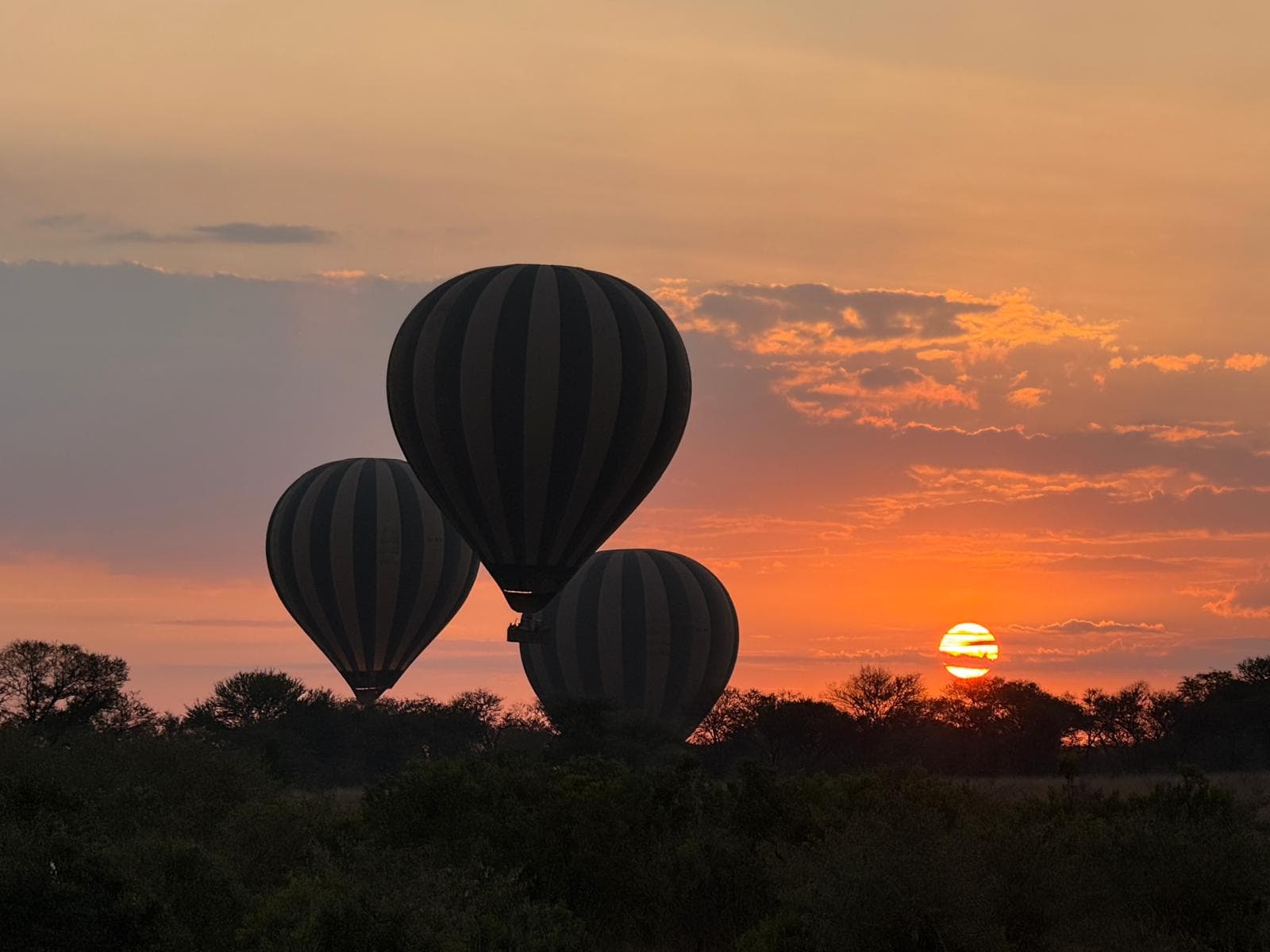 Navilia Adventures Team